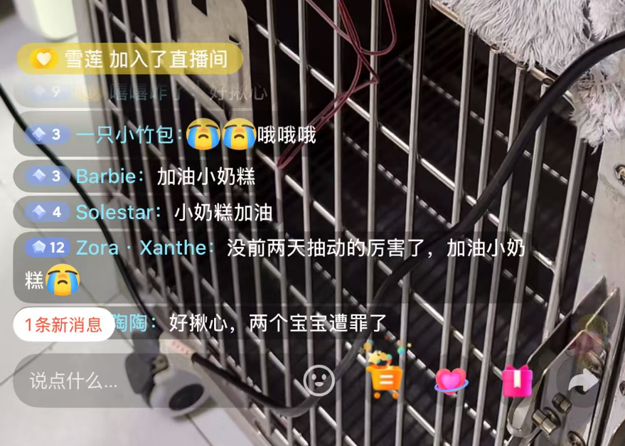 Wqa3O's tweet photo. 一起为小奶糕加油
直播输血
直播间还不少人
评论区全在为他加油

https://t.co/TabVDmhWGd https://t.co/NW7i1oKd0b