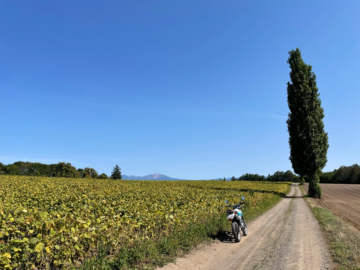 SasuRider0420's tweet photo. 北海道のおすすめ穴場絶景スポット4選🏍️

①白金模範牧場
②大雪 森のガーデン駐車場
③忠別ダム
④赤羽の丘

絶景なのに「誰もいない率」高し😉 https://t.co/1wZti6xBnZ