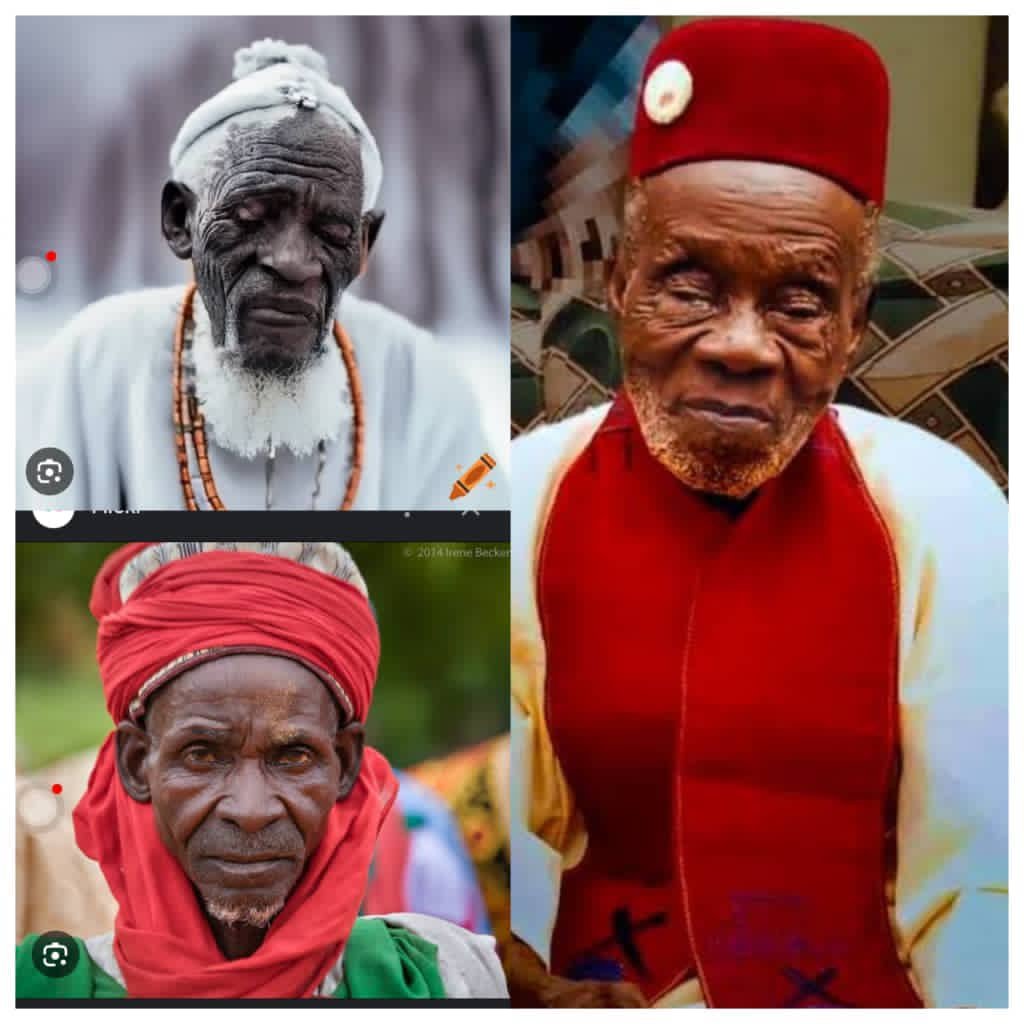 timmosion's tweet photo. Okechukwu Okeke
Occupation; Farmer 
Age: 98
Wife: 6
Children: 47
Grandchildren: 86
Cause of death: Old age
 
Lazarus Ademuyiwa 
Occupation: Carpenter 
Age: 115
Wife: 11
Children: 56
Grandchildren: 132
Cause of death: Old Age.

Isa Salishu Zakari 
Occupation: Tailor
Age: 109 
Wife: 4
Children: 38
Grandchildren: 73
Cause of death: Old Age

Dr. Benson Dube (Ph.D)
Occupation: Lecturer
Age: 56
Wife: 1
Children: 2
Grandchildren: 0
Cause of death: High Blood Pressure and Stress

Samuel Julius 
Occupation: Bank Manager
Age: 53
Wife: 1
Children; 3
Grandchildren;  0
Cause of death; BP, Sugar 

I am not saying anything. It is up to you to give your own interpretation... Na wao... 🤔🤔🤔

#copied