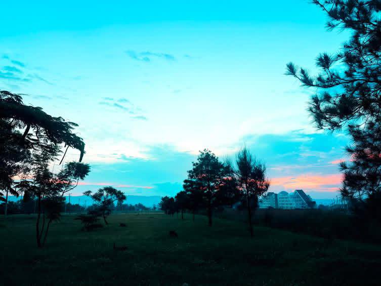 ujnoisemaker's tweet photo. Sunday morning in University of Jos, Nigeria https://t.co/GyfsjlROvI