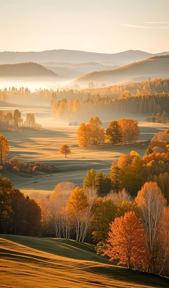 ariad949242's tweet photo. Woke up to dewy pine needles under my tent and a sunrise painting the mountain tops—this is the kind of reset no coffee can beat , https://t.co/7pXGFv08QM