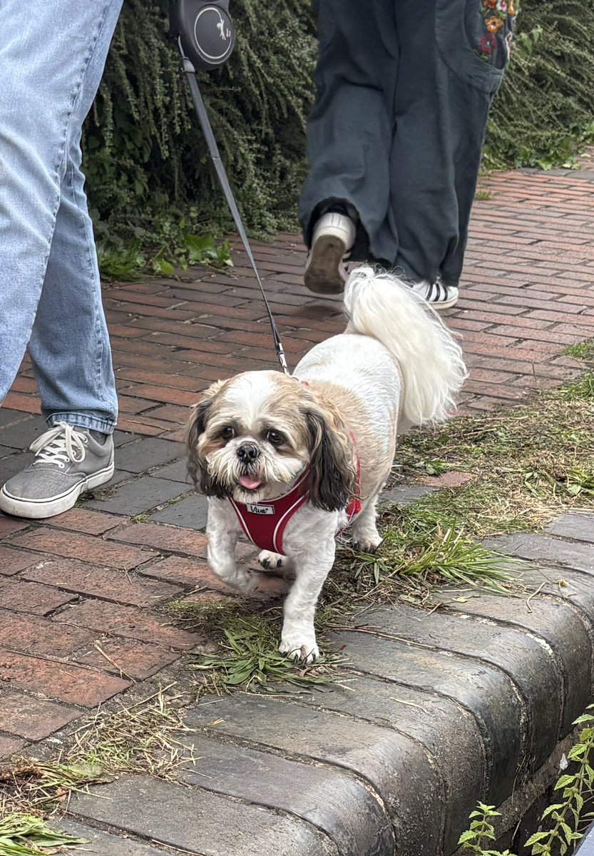 NBwakamatandoto's tweet photo. A huge thank you to everyone who came and supported Tipton Floating market yesterday
We’re here again today
Our four legged friends especially love all the attention on the towpath
#boatsthattweet #canallife #canaltraders #rovingtraders #independenttraders #floatingtraders https://t.co/1GtwV6mTbS