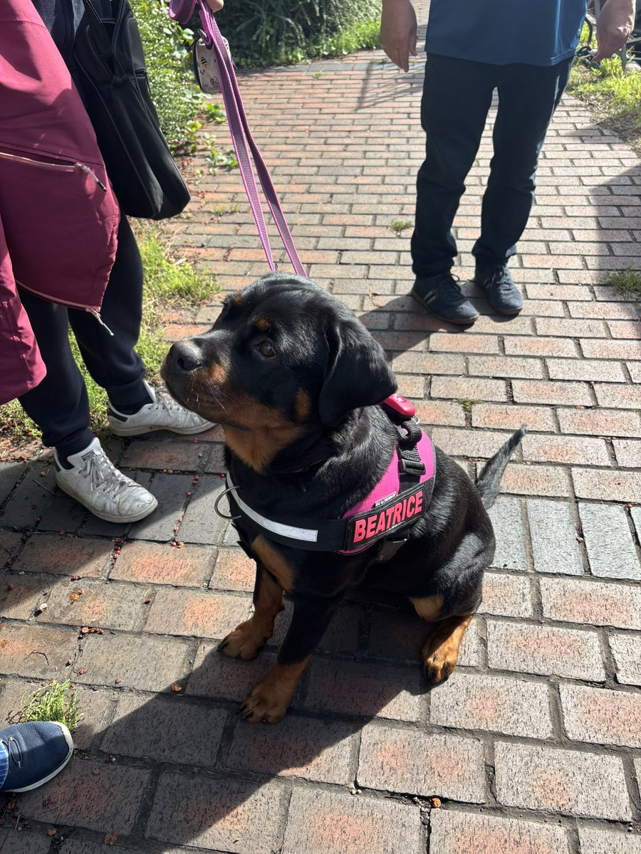 NBwakamatandoto's tweet photo. A huge thank you to everyone who came and supported Tipton Floating market yesterday
We’re here again today
Our four legged friends especially love all the attention on the towpath
#boatsthattweet #canallife #canaltraders #rovingtraders #independenttraders #floatingtraders https://t.co/1GtwV6mTbS