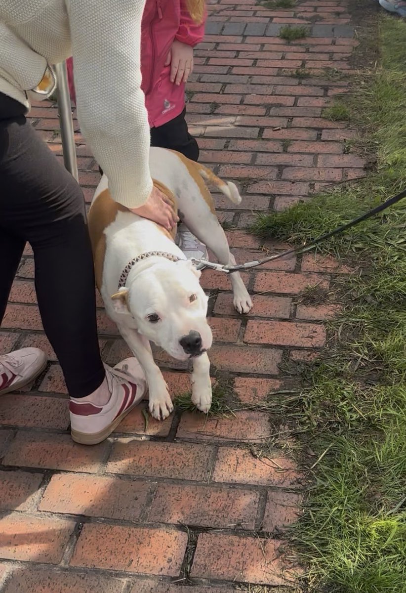 NBwakamatandoto's tweet photo. A huge thank you to everyone who came and supported Tipton Floating market yesterday
We’re here again today
Our four legged friends especially love all the attention on the towpath
#boatsthattweet #canallife #canaltraders #rovingtraders #independenttraders #floatingtraders https://t.co/1GtwV6mTbS