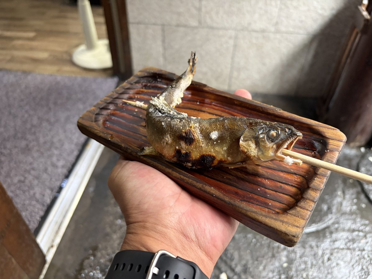 hissar0528's tweet photo. よし！！
食って飲んで満喫✨️
一旦休憩🫠 https://t.co/zDv8i8LRGI