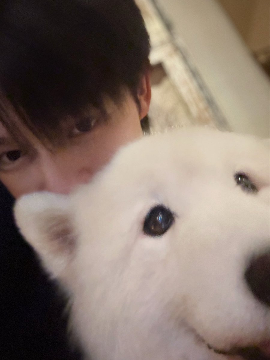 jackpotbowon's tweet photo. การศึกษาเรียกตัวผมหนักม้ากกก ถ้าสอบเสร็จแล้วจารีบถ่ายรูปมาลงให้ดูกันนะคั้บ
//รักนะคับทุกโค้นนนน🫩🤍 
#jackpotbowon https://t.co/jANi6ghr5e