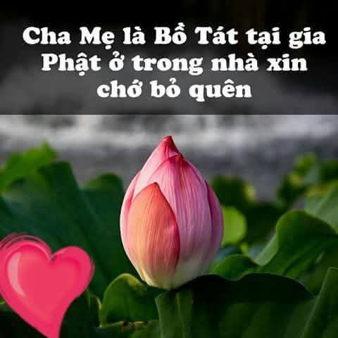 LucTam85's tweet photo. Chuẩn đét ❤ https://t.co/93wnBKuCao