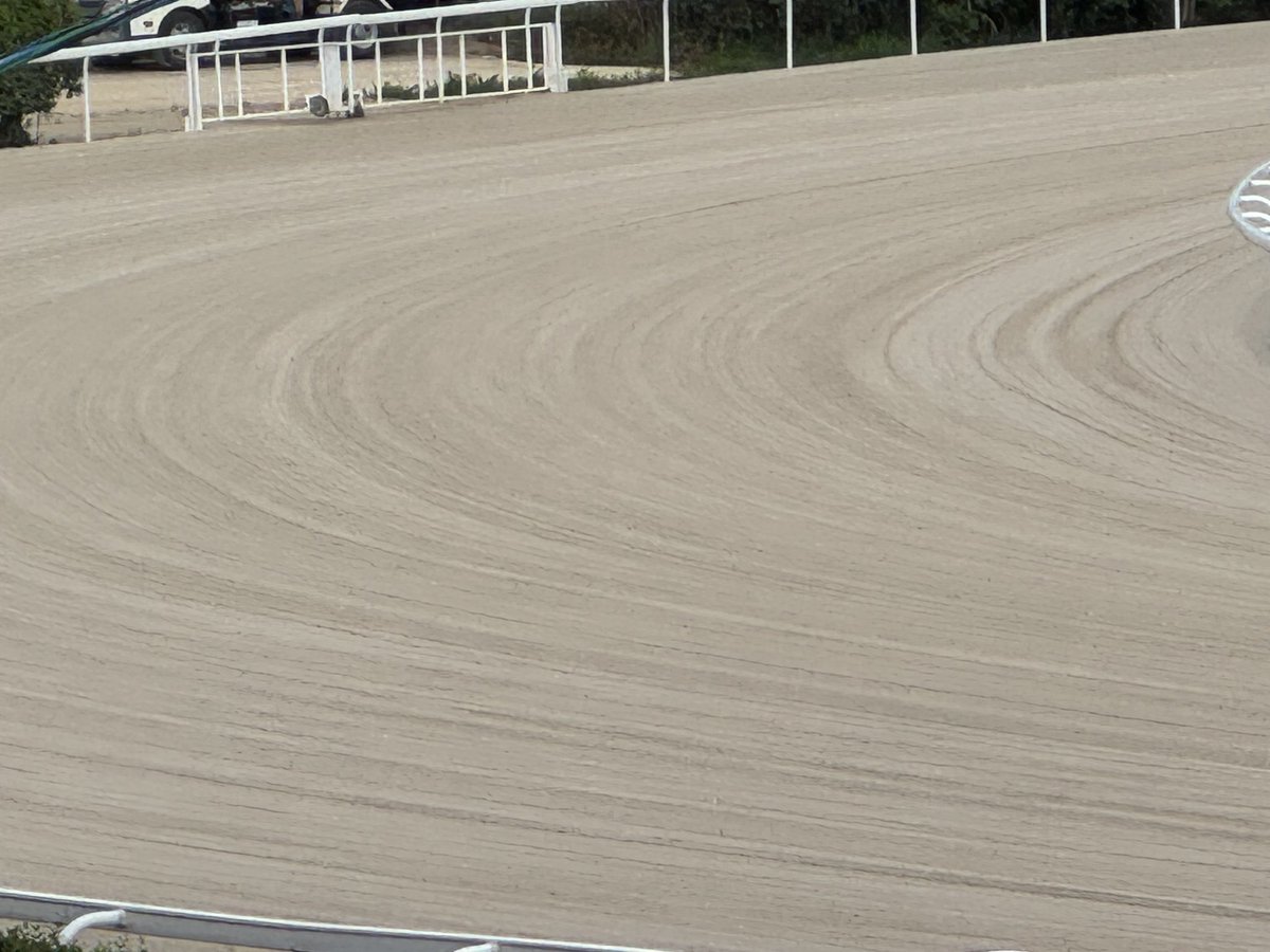 sagaimamura's tweet photo. 今日も佐賀競馬場は「曇り空」です。

馬場発表は「良」。

メインは第２レース(10頭立て)、本日も最終第９レースは１４頭立てです。
お楽しみに〜🐎‼️

MCは #井上瑠香さん、
解説は #うまかつ.net りゅうさんです。

#さがけいば #サガデーナイト競馬
#UMATENA
#うまかつアプリ https://t.co/3mxqUBsYZa