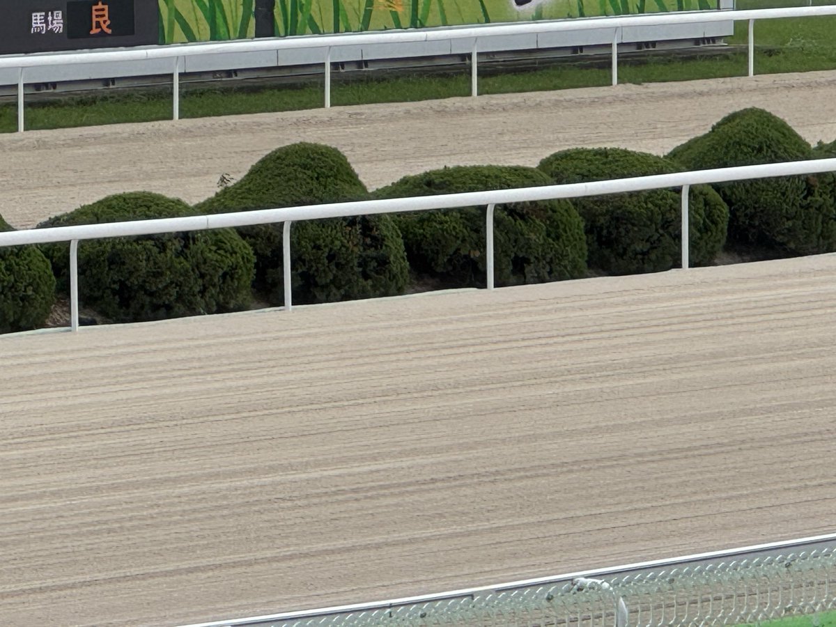 sagaimamura's tweet photo. 今日も佐賀競馬場は「曇り空」です。

馬場発表は「良」。

メインは第２レース(10頭立て)、本日も最終第９レースは１４頭立てです。
お楽しみに〜🐎‼️

MCは #井上瑠香さん、
解説は #うまかつ.net りゅうさんです。

#さがけいば #サガデーナイト競馬
#UMATENA
#うまかつアプリ https://t.co/3mxqUBsYZa
