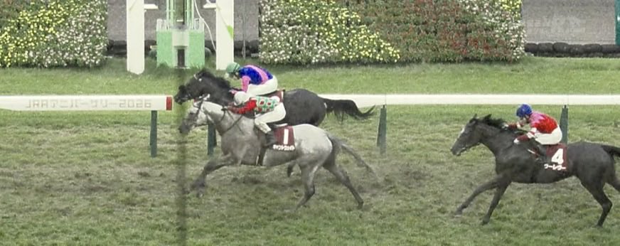 LongBallToNoOne's tweet photo. Boilover, MEISHO GEKIRIN looks to have held off the late charge of CAN’T WAIT in the G2 All Comers https://t.co/ftngWYakMJ