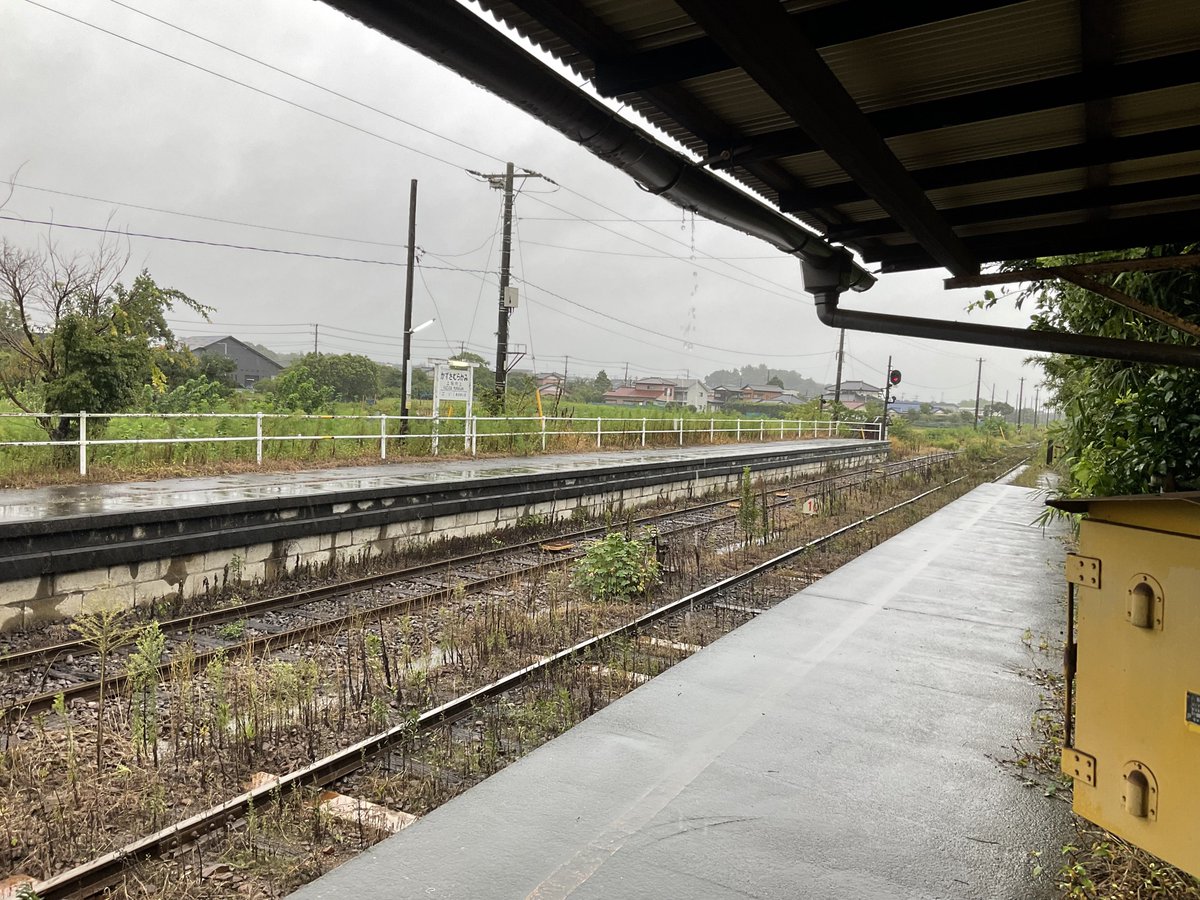 W33Nyatz's tweet photo. 2026/09/20  小湊鐵道 上総村上駅
台風25号の接近に伴い、本日午後から明日いっぱいは計画運休。
最近とにかく大雨が多く、折角の連休も何処にも行けません。 
数日分の食糧の買出しを終えたので、家で旅系のYouTubeでも観ながら歩数を稼ぎましょう。🚶🏻🤨🌀☔️🐈‍⬛

#小湊鉄道 #小湊鐵道 https://t.co/Yt0zkY8ULE