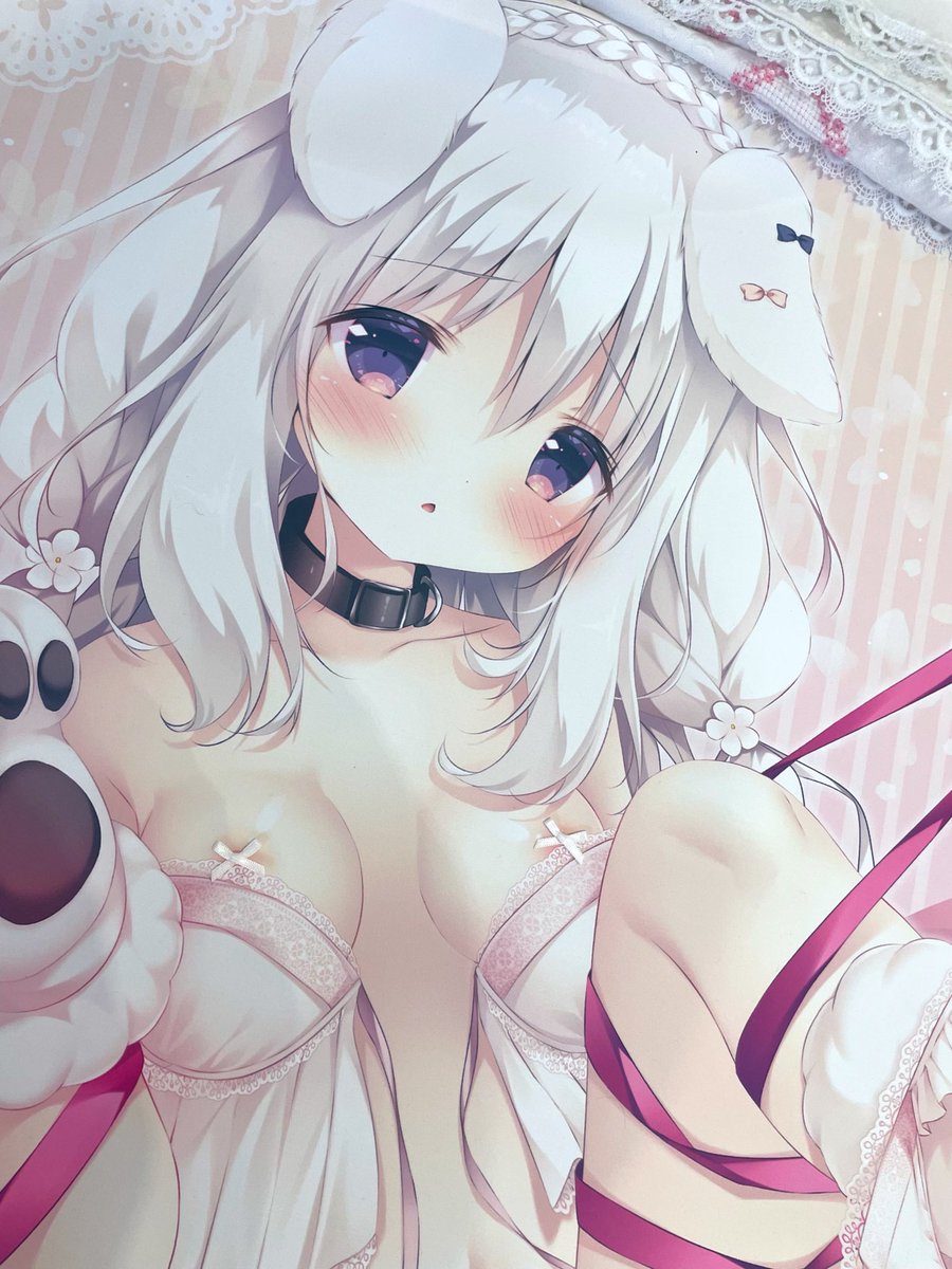 chiwibits's tweet photo. ichika 🐾 https://t.co/4pk6GbSnzJ