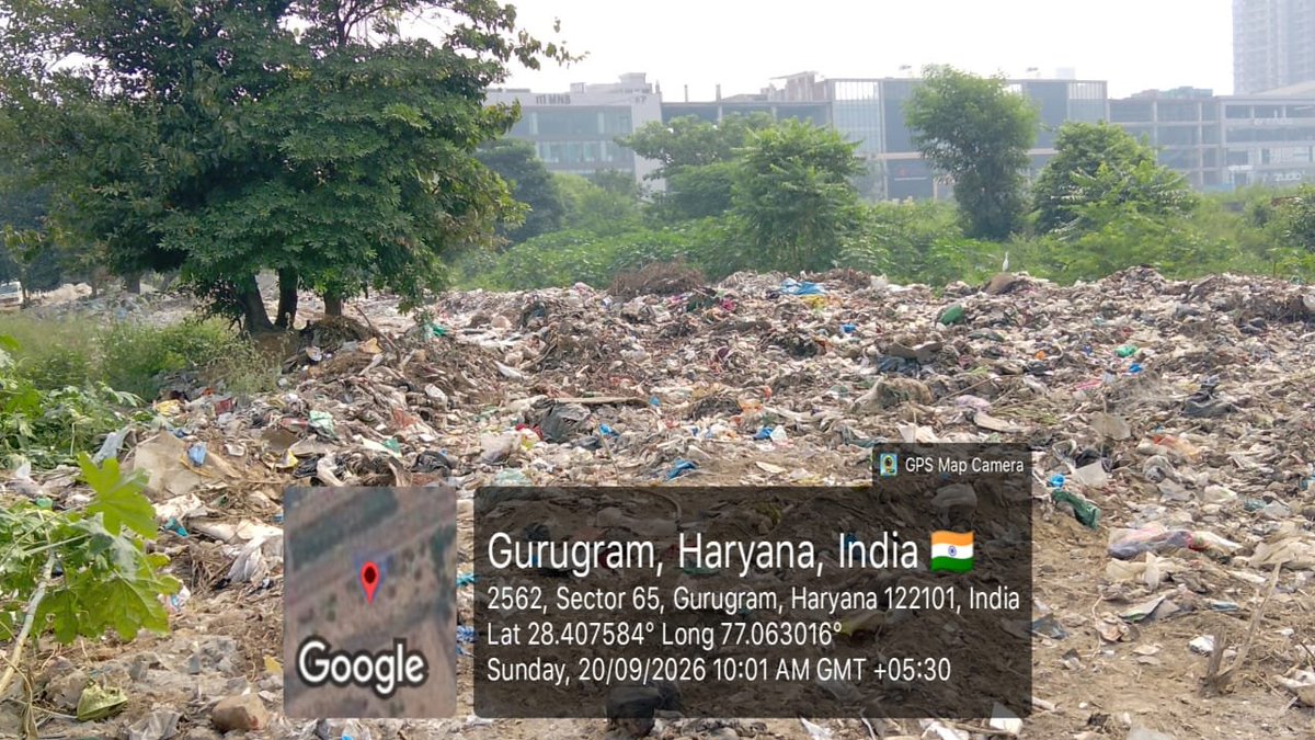 GauriSarin's tweet photo. Or clean this ? @ulbharyana
@MunCorpGurugram ?
@PradeepIAS_HR 
@cmohry @ulbharyana 
Near #EmaarEmeraldHills sec 65 dumping ground - highly unhygienic and breeding ground for dengue followed by pollution 
@CPCB_OFFICIAL 
#NotolerancetoDumping
What is role of @DC_Gurugram @gurgaonpolice 
@RaoNarbir @VipulGoelBJP