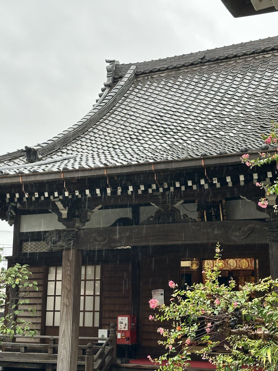 R197J's tweet photo. お彼岸は1週間あるから　お天気とよくよく相談してお墓参りにいらしてください。
濡れた石って滑るから　ほんと気をつけてー https://t.co/WR9hNOwEwD