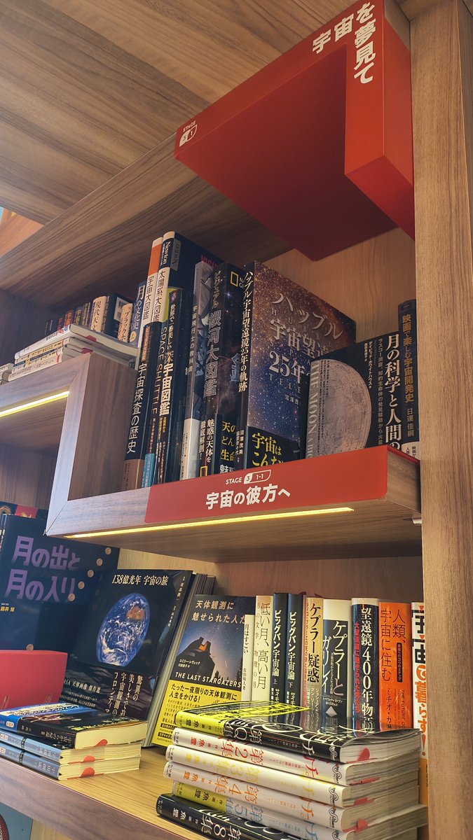 i_hashimo's tweet photo. ずっと行きたかった敦賀駅前のちえなみき。
カテゴリで分かれてて、宝物を探すように本を物色。ボードゲームで遊べる場所やカフェも併設。すてき空間♪ https://t.co/JQlQqkgw6k