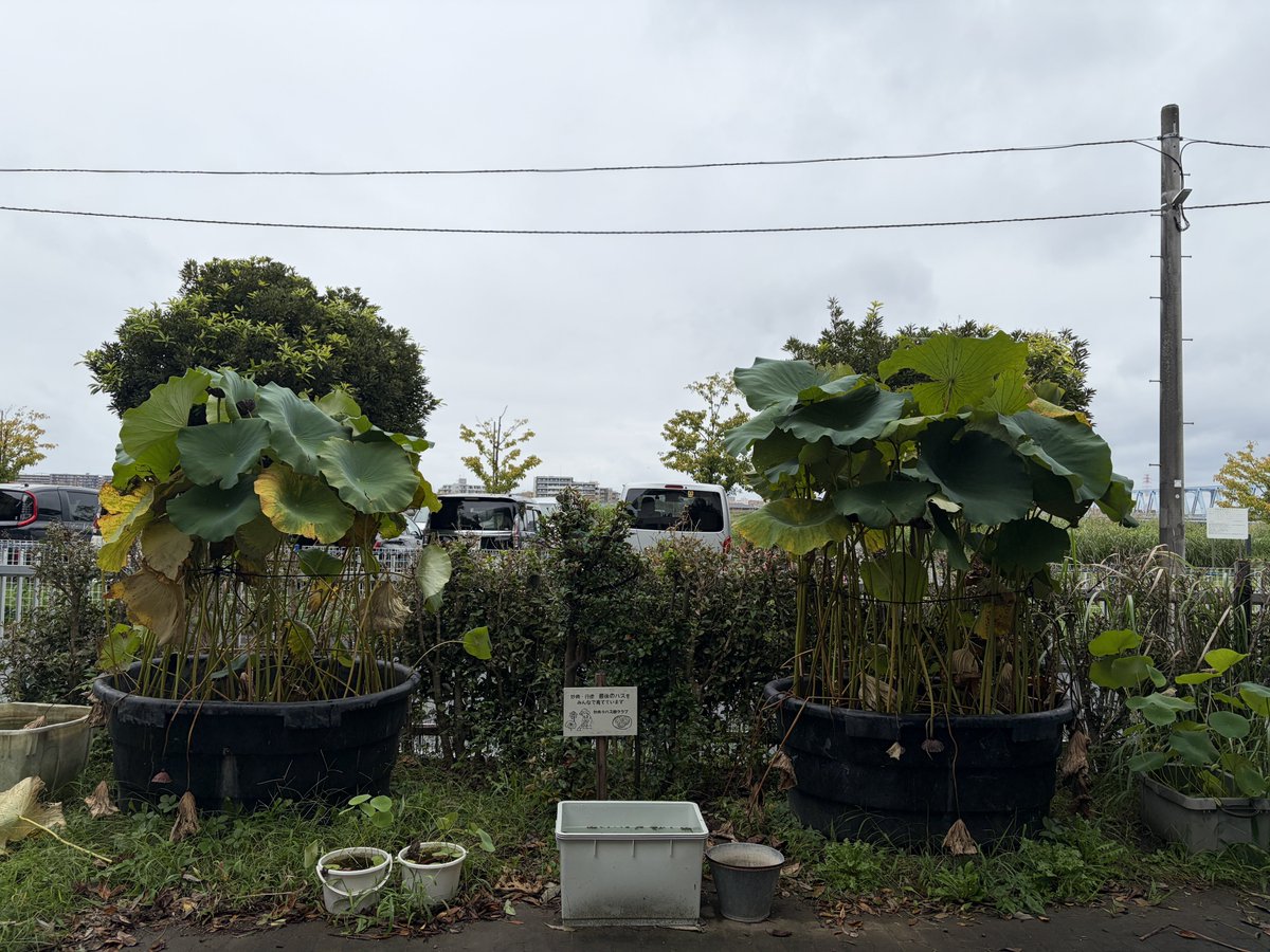 myodenshohasuda's tweet photo. 台風対策。風速10m…？ https://t.co/m4CRWadJHR
