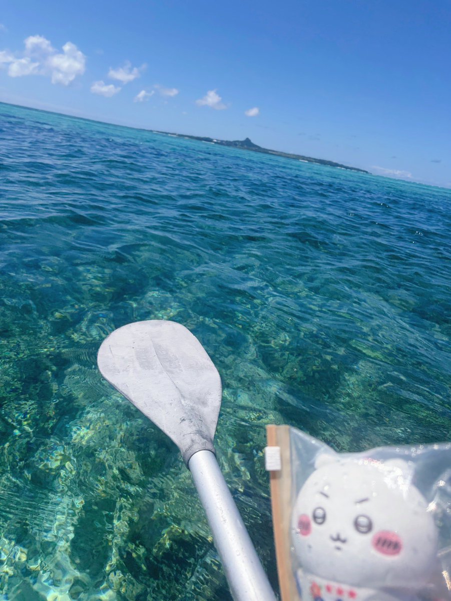 ymdnon's tweet photo. 沖縄最高だった絶対また行く🌊🌺☀️🚣 https://t.co/79esGZoi64