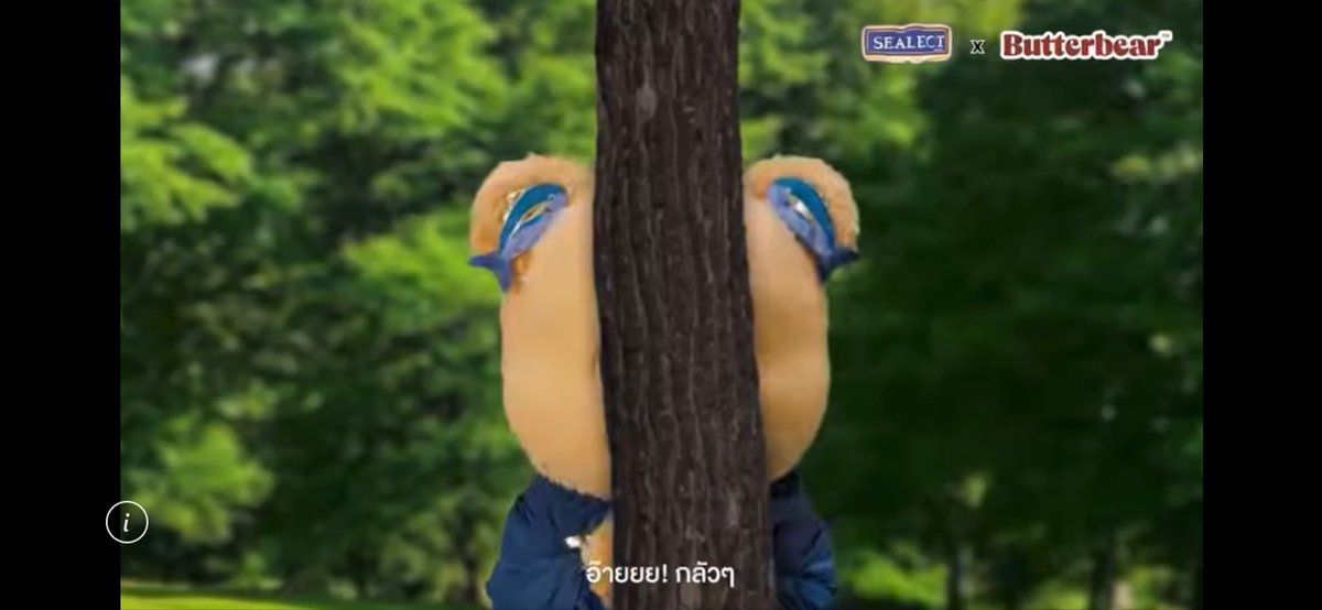 KungOmyim's tweet photo. แว็บแรกที่คิด🤭
#ซีเล็คทูน่าxบัตเตอร์แบร์ #ซีเล็คทูน่า #SEALECT #BUTTERBEAR #ด้อมน้องเนย https://t.co/L8yoFP61us