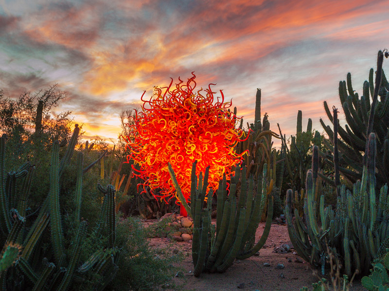 AestheticaMag's tweet photo. #OnThisDay in 1941, sculptor Dale Chihuly was born. 

"I want people to be overwhelmed with light and color in a way they have never experienced." https://t.co/514ClBPgp8