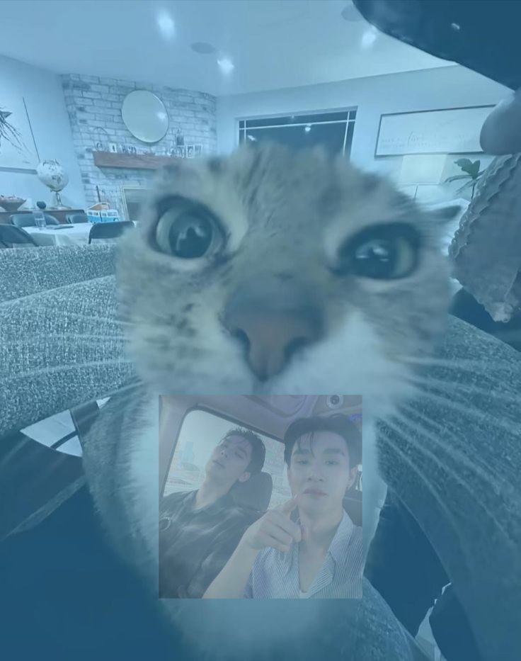 dewteebraga's tweet photo. 😭😭😭😭😭😭😭😭😭😭😭😭😭😭😭😭😭😭😭😭😭😭😭😭😭😭😭😭😭😭😭😭😭😭😭😭😭😭😭😭😭😭😭😭😭😭😭😭😭😭😭😭😭I MISS MY PARENTS SOOOO MUCH😭😭😭😭😭😭😭😭😭😭😭😭😭😭😭😭😭😭😭😭😭😭😭😭😭😭😭😭😭😭😭😭😭😭😭😭😭😭😭😭😭😭😭😭😭😭😭😭😭😭😭😭😭
#dewtee https://t.co/RipmCbVC1e