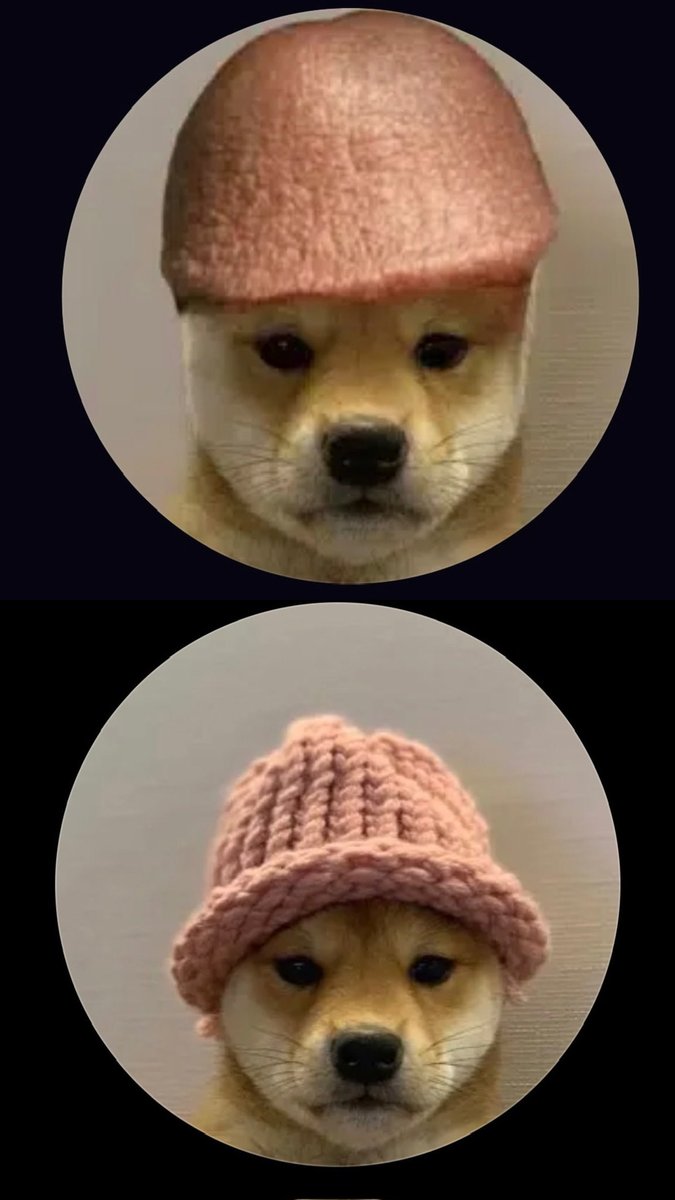 BryanTa90103473's tweet photo. @traderInosuke $DICKINU it’s at 55k literally such an under rated meme @traderInosuke https://t.co/OdjY6HyQuB
