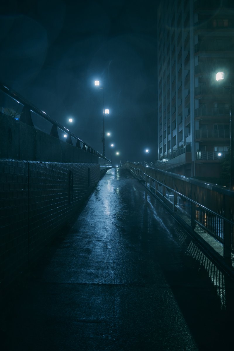 imari33_photo's tweet photo. Night vibes in Japan https://t.co/3Hm5Qdz69Z