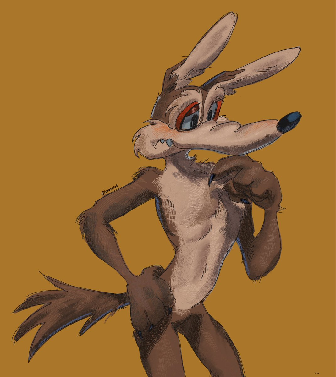 toraoslut's tweet photo. something quick #wileecoyote https://t.co/GUUYD3iL7H
