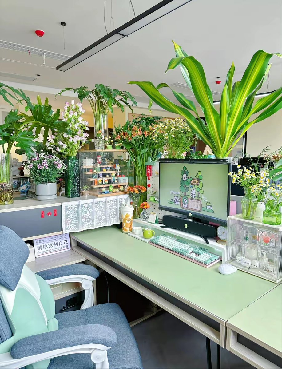 toffb275899's tweet photo. Transform my small desk with just 3 items: a potted succulent, a cute pen holder, and a stack of inspiring notebooks. Productive vibes activated! https://t.co/ZeVsOftPyR