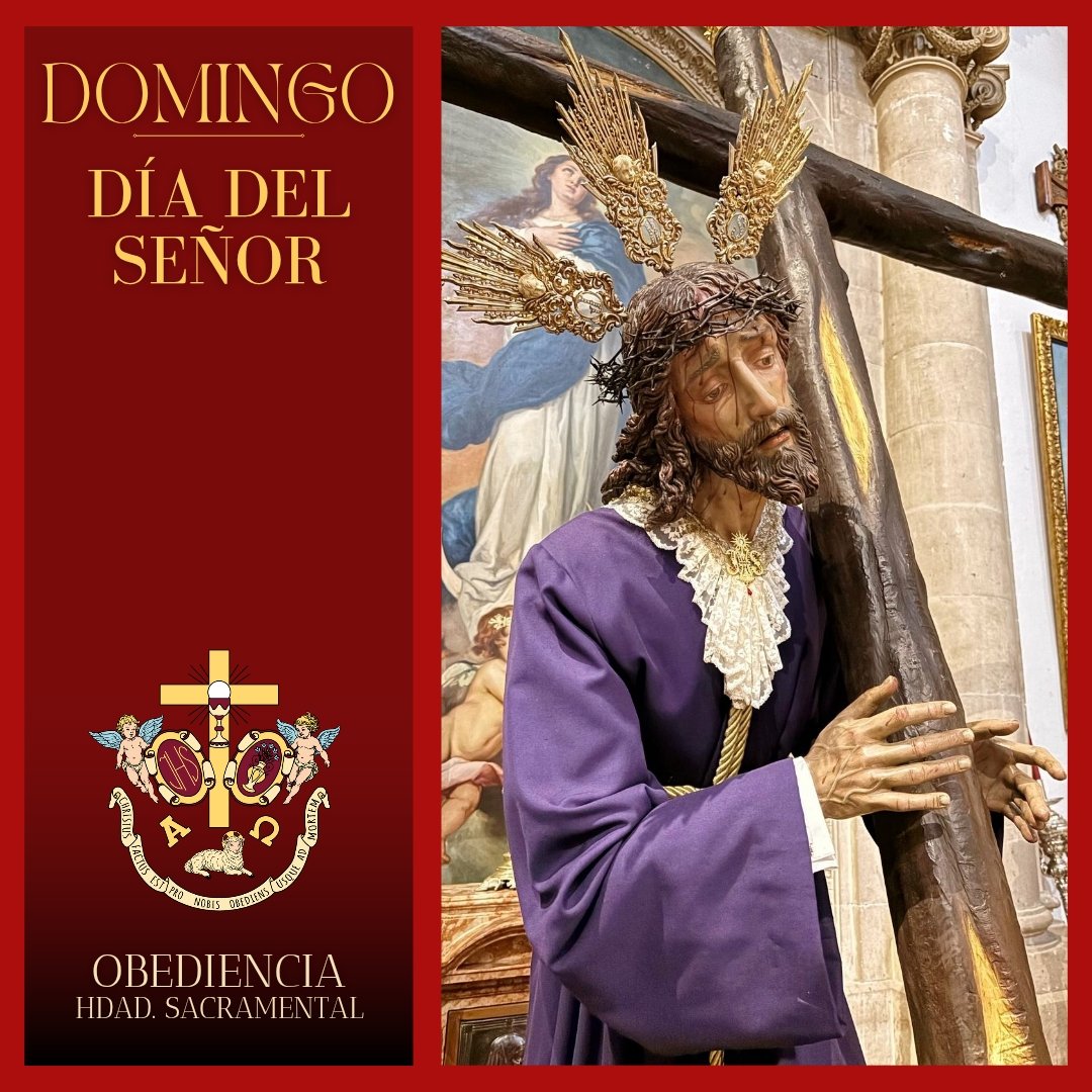 HdadObediencia's tweet photo. ✝️ SALMO | "Día tras día, te bendeciré, Dios mío
y alabaré tu nombre por siempre jamás.
Grande es el Señor y merece toda alabanza,
es incalculable su grandeza." 

DOMINGO DEL SEÑOR 

#ObediensUsqueAdMortem
#ObedienciaSacramentalGuadix
#DomingoDelSeñor
#SemanaSantaGuadix https://t.co/AqCbBOlNLf