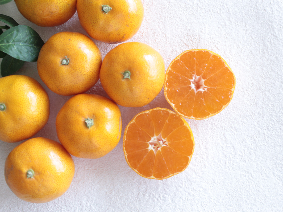 selectfood's tweet photo. 🍊みかんの季節がスタート！

今シーズン最初の「三ケ日みかん極早生」の販売開始✨
極早生ならではの、爽やかな酸味とほどよい甘み。
皮をむいた瞬間に広がる、みかんの香りもたまりません。
そのままでも、ヨーグルトやサラダにもおすすめ♪
秋の始まりに、旬の味をぜひ🍊
https://t.co/kptkeye2NI https://t.co/sTIpphHDp6