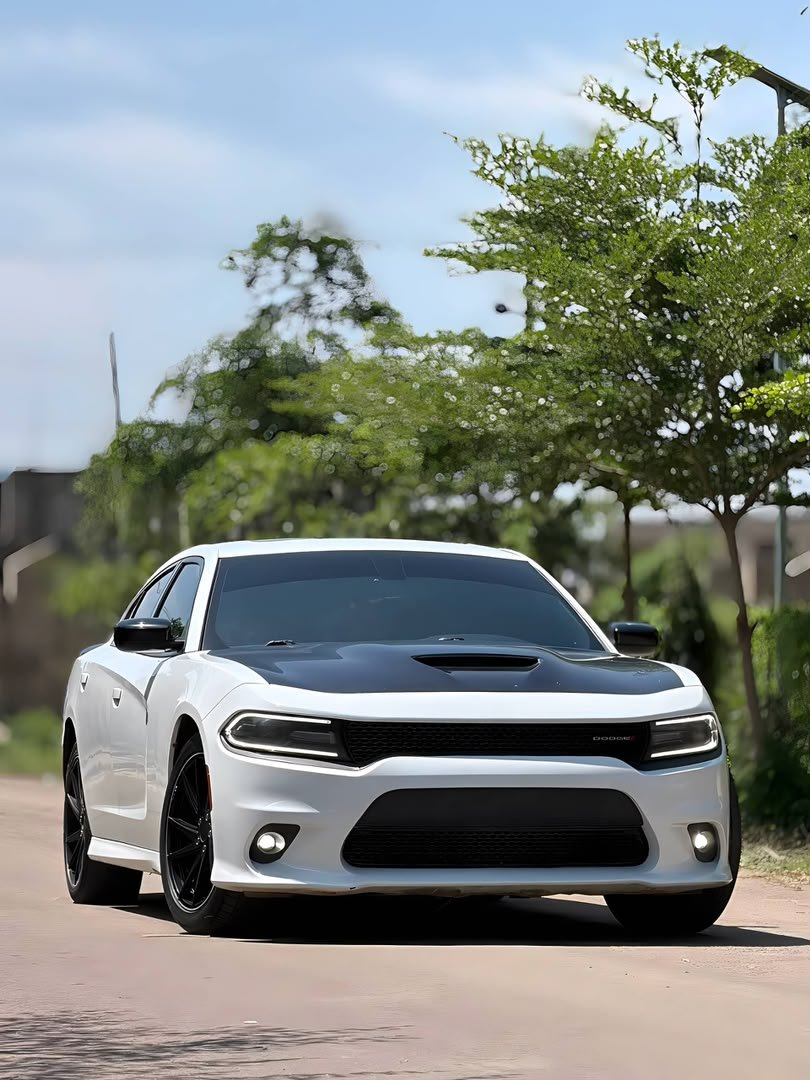 AjeboBee's tweet photo. 💥One_IN-Town
🇺🇸Direct Foreign
🛞Free Accidental 
🏎️Dodge charger Gt
📅2018
📄OAP
💰36m
📞 https://t.co/W0141UiAYg