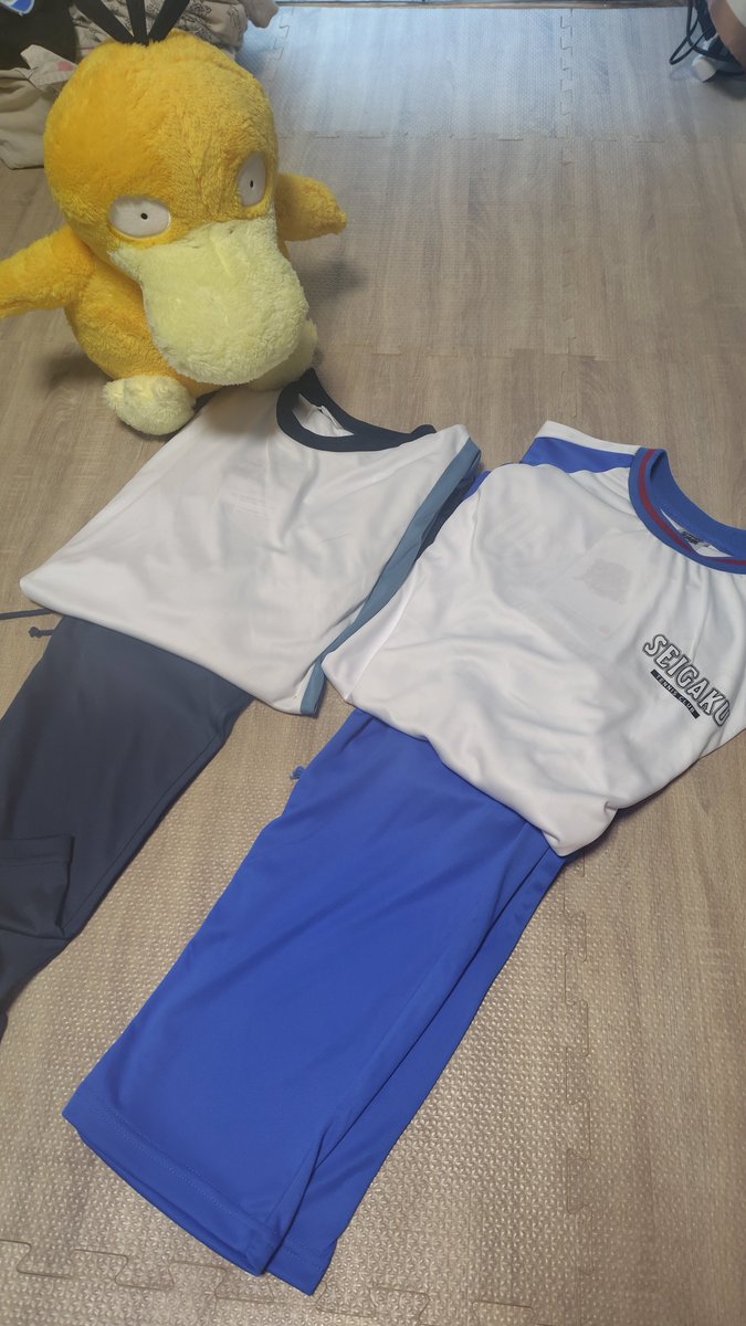 mgmgmg52's tweet photo. 青学と氷帝は残ってたんだけど立海なくてさっき捕まえたコダックに立海担ってもらお https://t.co/Zu7bzDPiu9