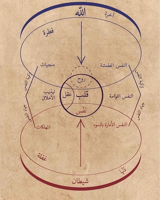 IslamicSH_'s tweet photo. Ibn Arabi’s diagram of Spiritual Realm and metaphysical self. https://t.co/AoMkliXL0u
