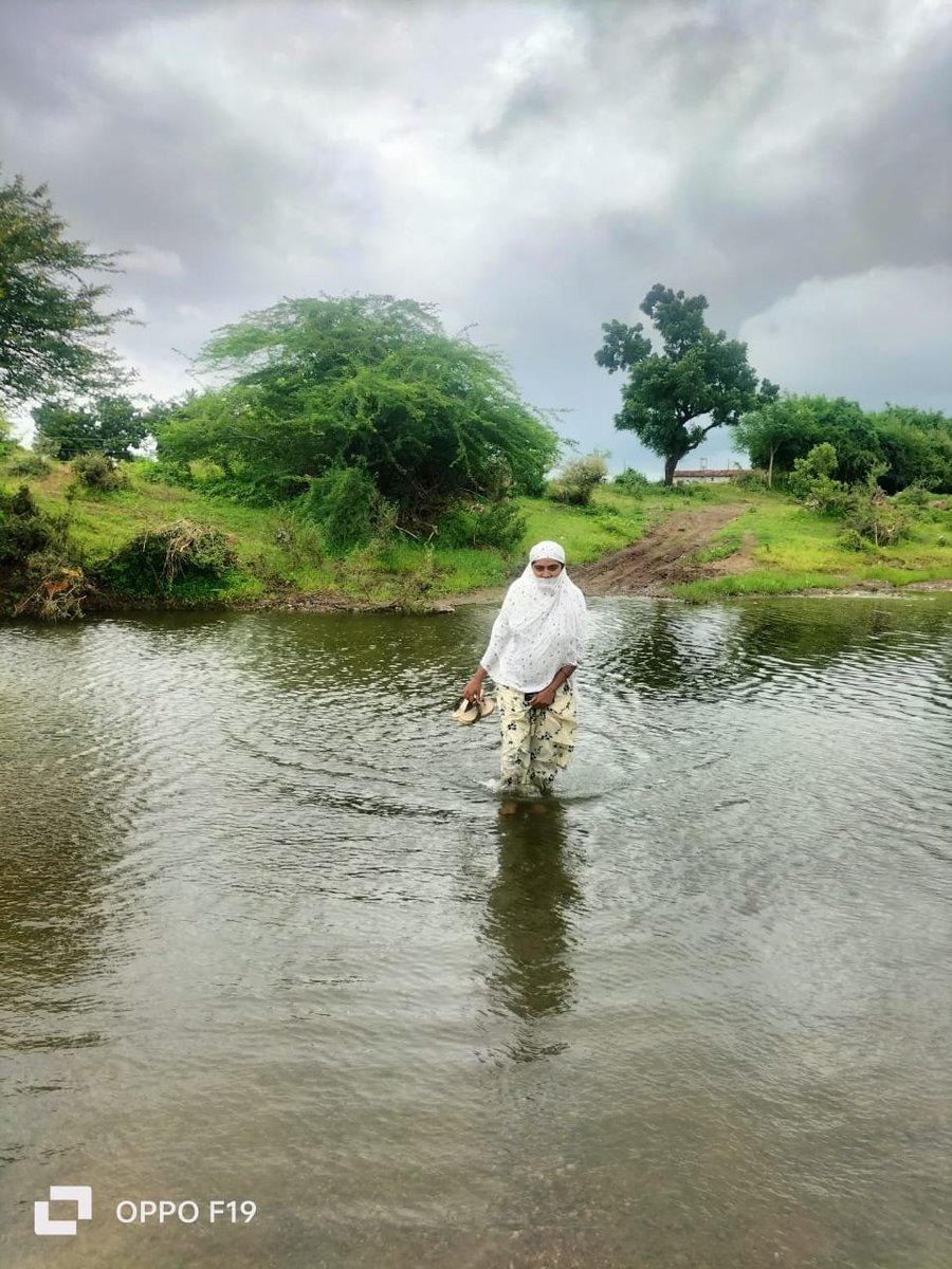 GRAMSEVAKBVNGUJ's tweet photo. ખેડૂતોના ખેતરે જઈને સ્થળ તપાસ કરવી પડે છે. વરસાદ હોય કે ગરમી, ખેડૂતોને સેવા આપવા માટે fieldમાં કામગીરી ચાલુ રહે છે. આ જવાબદારીને ધ્યાનમાં લેવી જરૂરી છે.

#GramsevakNyayLadat @Zee24Kalak @sandeshnews https://t.co/fKIHhDJnFb