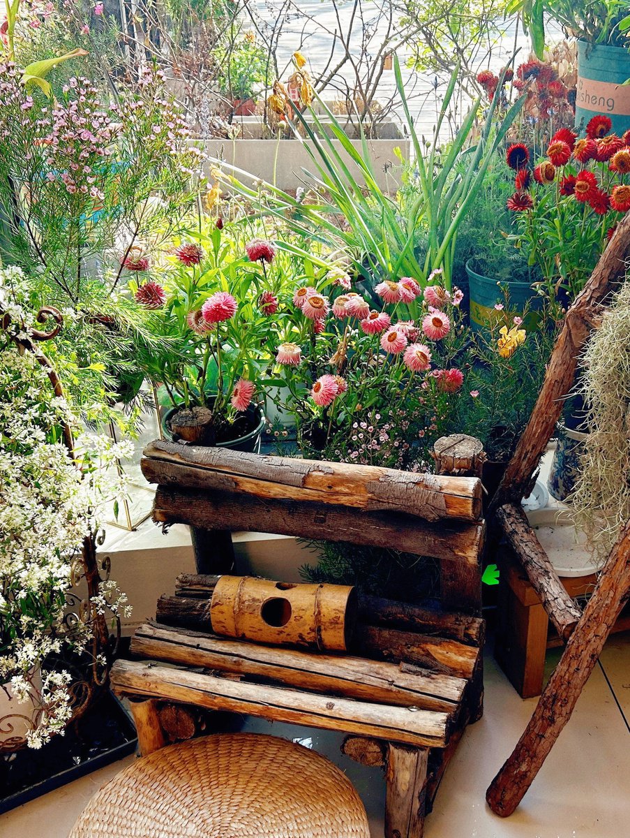biscz402858's tweet photo. Tired of cluttered spaces Today’s vibe: sorting out old stuff that no longer serves you—you’ll make room for joy and new adventures. https://t.co/n90Cs7B4iD
