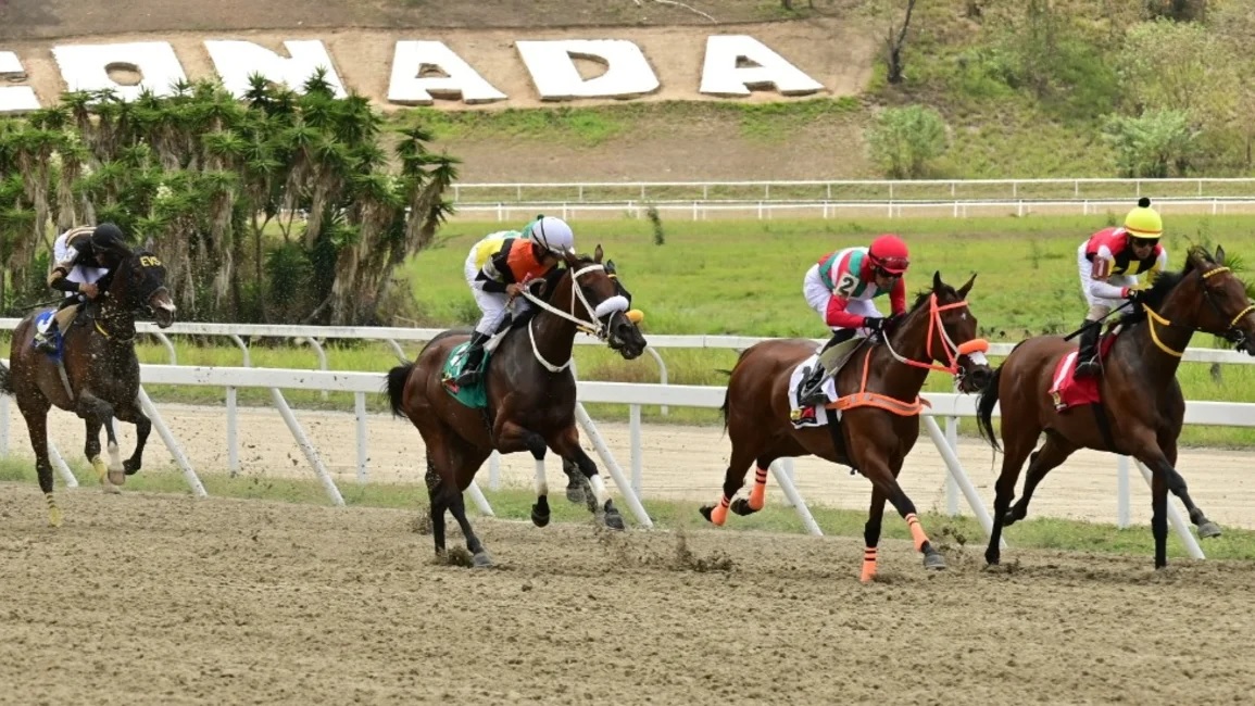 FOXMULDER7's tweet photo. HIPÓDROMO  La Rinconada Domingo 20 de Septiembre 2026
1) 5-VISION 1-XTAL
2) 5-BOILED MILK
3) 2-POLOROID 4-ABU PEPE 7-MAHOMES
4) 7-GRAN FERONIA
5) 6-TUCO SALAMANCA (ARG) 5-EL GRAN ELADIO
6) 3-WAY TOO MUCH (ARG) 8-UNIVERSAL JOY 7-ALANA

#Hipismo
#TecnicaHipica

@caballostecnica https://t.co/vMGD3y3bfJ