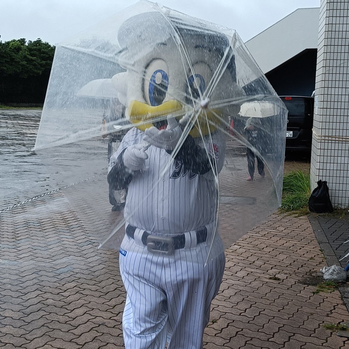 yokokau's tweet photo. マーくんに水かけられるファンサもらえた笑 https://t.co/4g8FHHttvf
