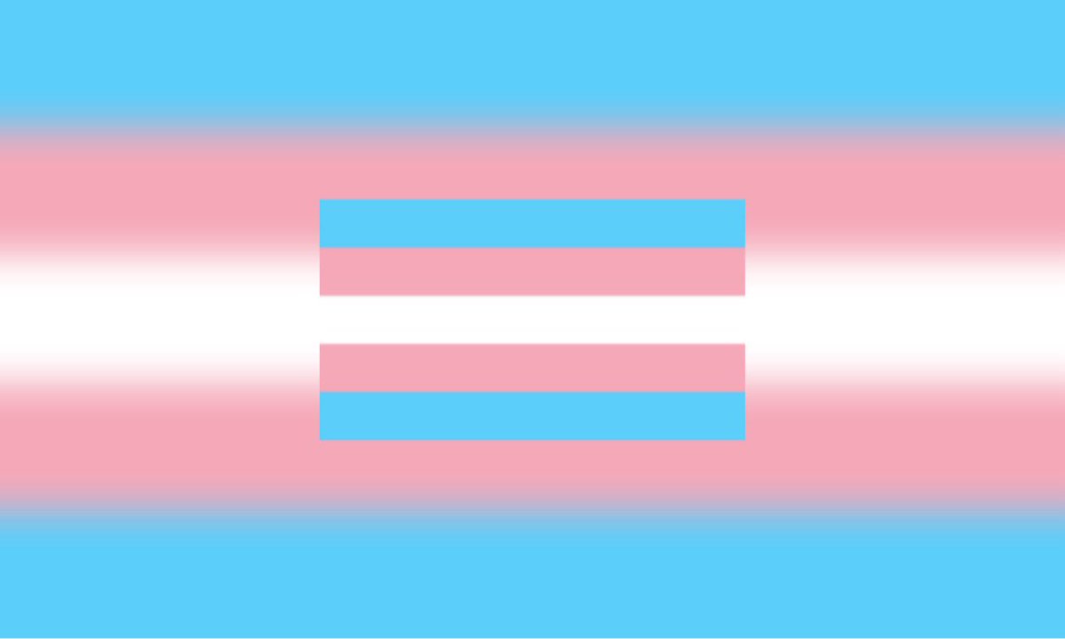 GAYLOSTBOYS's tweet photo. a trans flag for people who are trans 🩵🤍🩷 https://t.co/dvMdCcb9RG