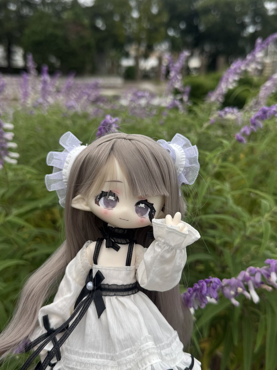 archive_fig64's tweet photo. こんにちはです((*´∀｀*))
ちょいと散歩に来た公園で📸
#ブラインドドール https://t.co/b9wLwpj2Xa
