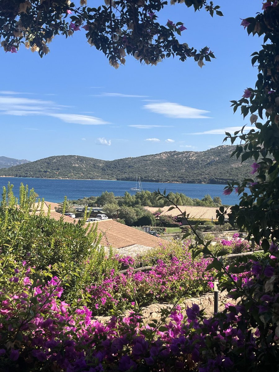ShameemAntiques's tweet photo. Anyone has had a bad experience with @bookingcom customer service and support regarding cancellation of 2nd part of holiday stay the evening before arrival and left stranded with no refunds or replacement for lodging? And no response for complaint since a week from #bookingcom https://t.co/DJnESI2SHC