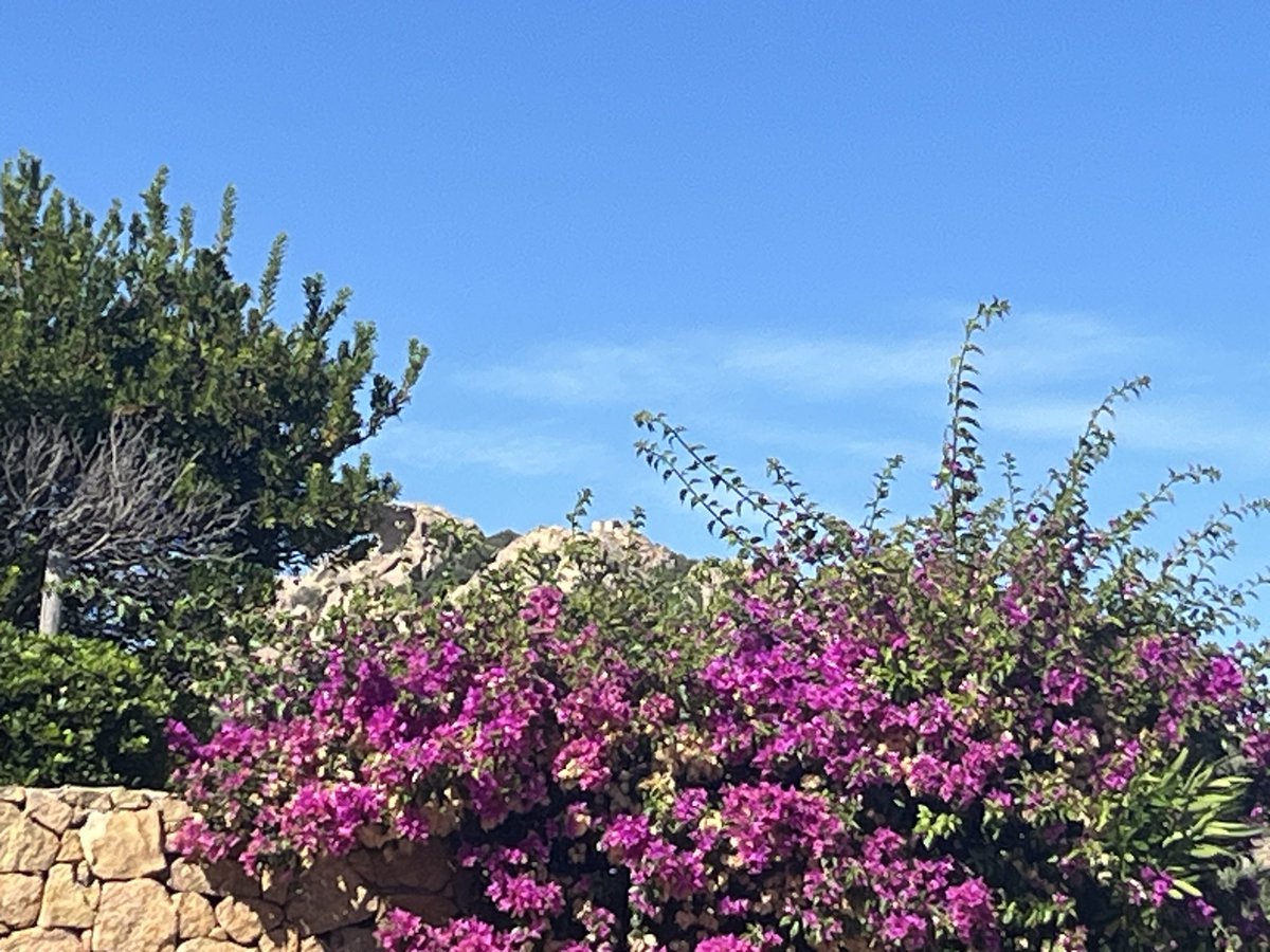 ShameemAntiques's tweet photo. Anyone has had a bad experience with @bookingcom customer service and support regarding cancellation of 2nd part of holiday stay the evening before arrival and left stranded with no refunds or replacement for lodging? And no response for complaint since a week from #bookingcom https://t.co/DJnESI2SHC