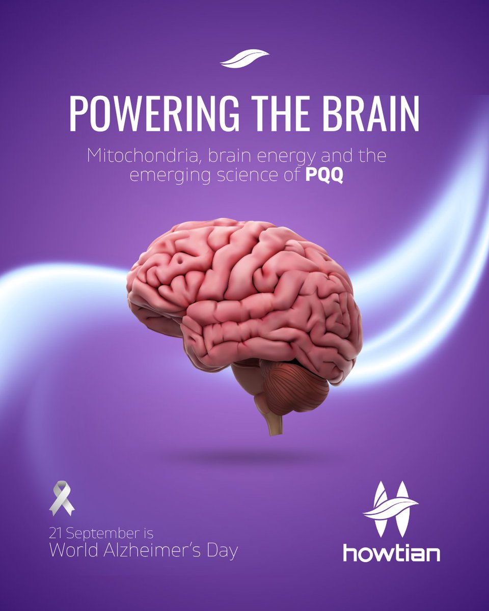 howtiangroup's tweet photo. Research on #brainhealth is exploring nutrients such as #PQQ for its potential role in mitochondrial function and mitochondrial biogenesis. Our patented crystal-form PQQ features low hygroscopicity, high stability and high purity. Contact us to learn more.

#WorldAlzheimersDay https://t.co/zCVl6cEJT5