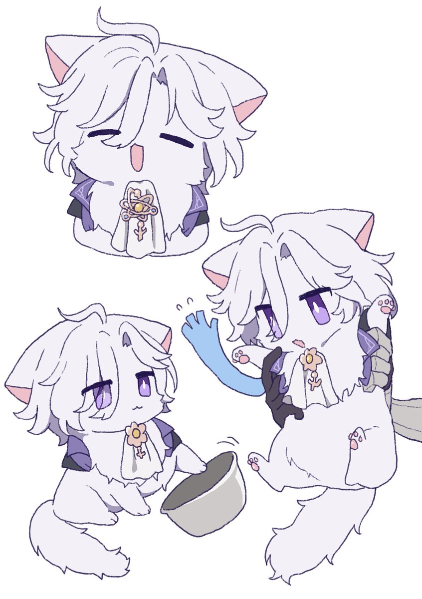 tablesando_kwsk's tweet photo. みてぃにゃ🐾 https://t.co/bC4ySRuli1