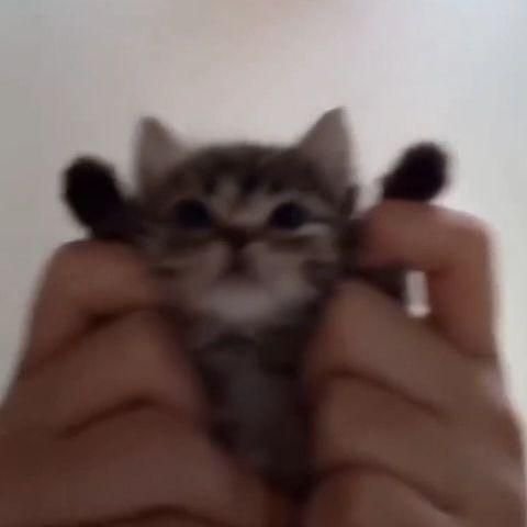 GigiHyena's tweet photo. @_Eldo_rea_TFC Хаха, мило с твоей стороны, ты очень заботливый, вы можете на мои посты не отвечать на моём языке, пишите на своём, чтобы вам было удобнее ✨ https://t.co/5K7kWlUlTU