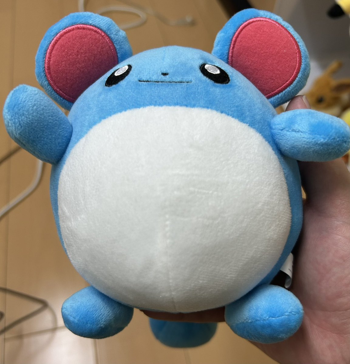 LexPikachu2026's tweet photo. 1匹と1人で出かけたら仲間が増えました。
 #ポケモン #ぬい活 https://t.co/CzB6kSMxkl