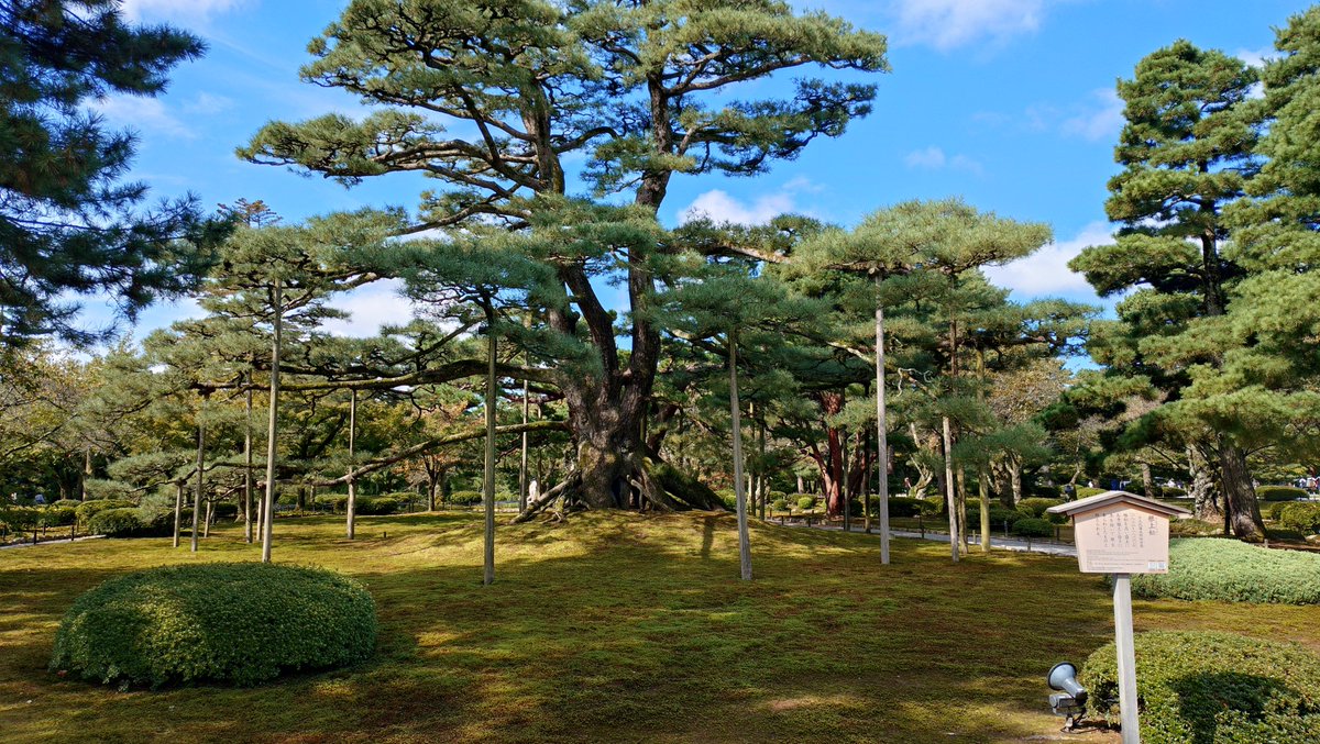gbornjpn's tweet photo. 今日は兼六園。
人がいっぱいで大変だったけど、天気も良くて絵になるキレイな庭園でした。 https://t.co/02mXhKPqN8