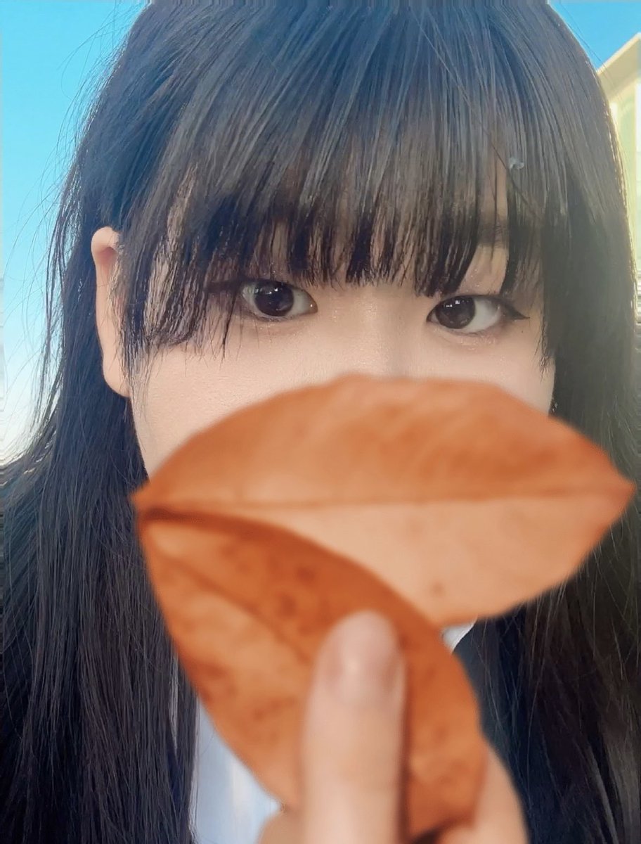 shypd9's tweet photo. 3年前  眉毛太すぎるw https://t.co/1giqVB4KsM