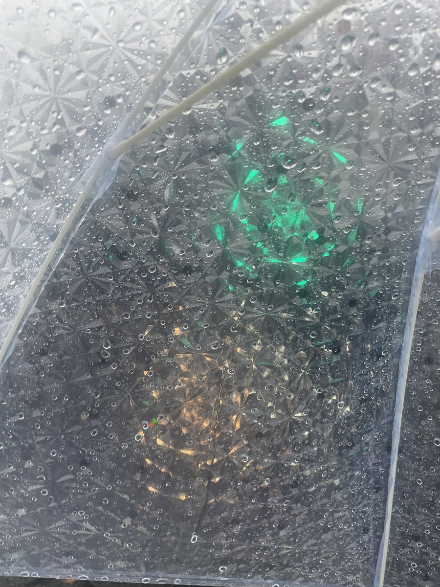 ariel12yu's tweet photo. 傘がかわいいと雨の日も　　☂️
ちょっぴり楽しい◝(˶ > ᎑ < ˶)◜ https://t.co/DZmIYJNwqn