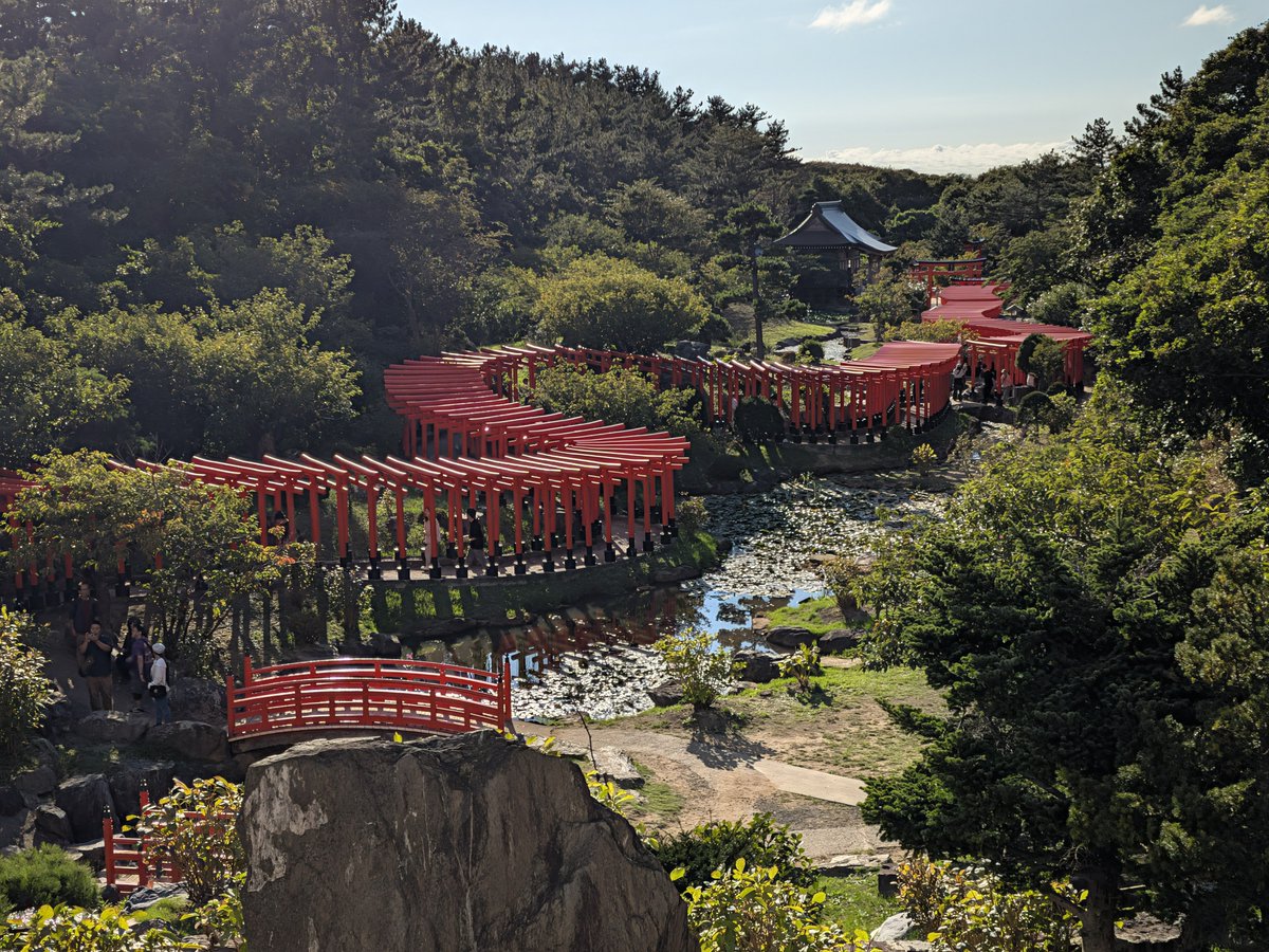 aoidman's tweet photo. 神社へ⛩️
思った以上にアップダウンがあって足ガクガク笑 https://t.co/9pIFNeYKh6