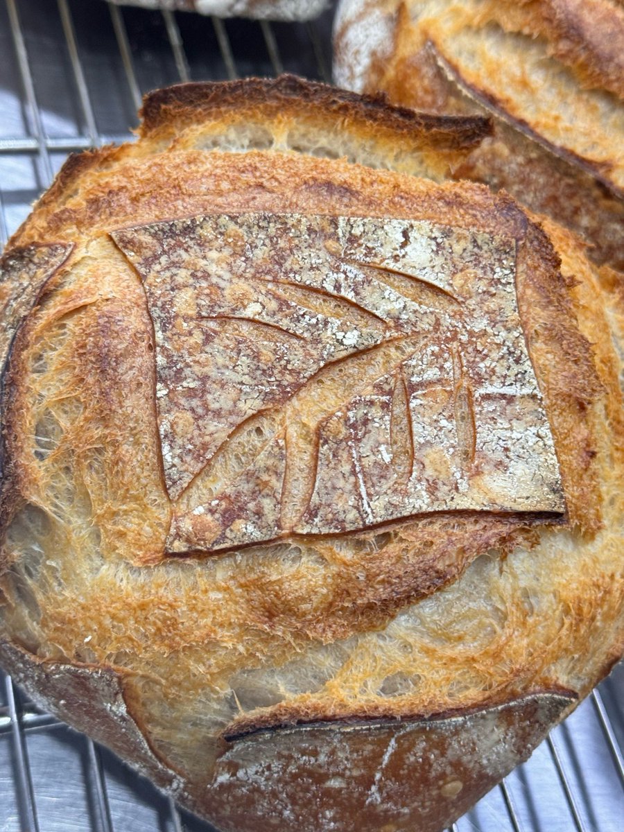 thom3asrobert4s's tweet photo. Just nailed my first homemade sourdough loaf—crusty exterior, airy inside, and that perfect tang!  Can’t believe I pulled this off, baking’s way more fun than I expected!， https://t.co/n8OamRD0mK